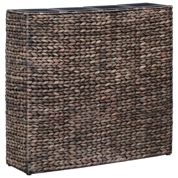 Arriate con 4 macetas jacinto de agua marrón