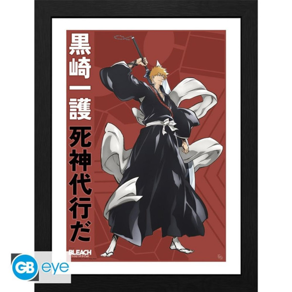 Cuadro gb Eye Bleach Tybw Ichigo