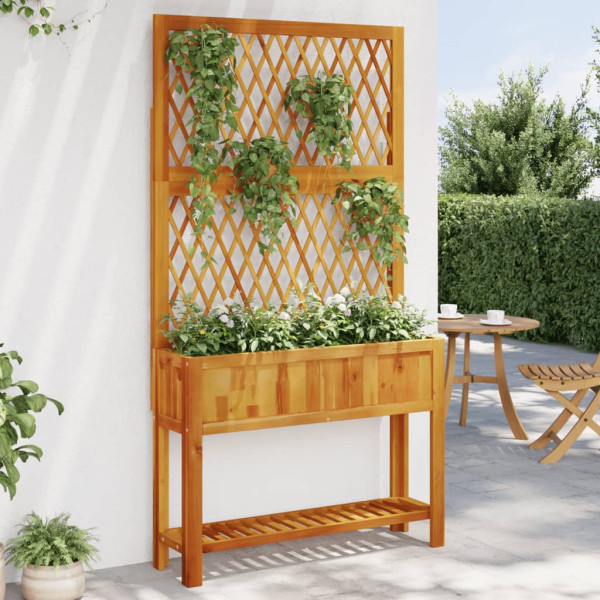 Jardinera con enrejado y estante acacia maciza 100x32x185 cm