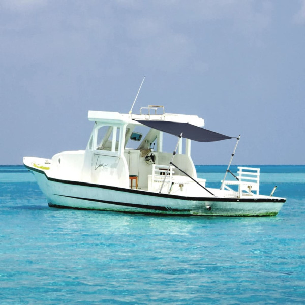 Toldo T-Top extensión azul 170x170x(113-182.5) cm